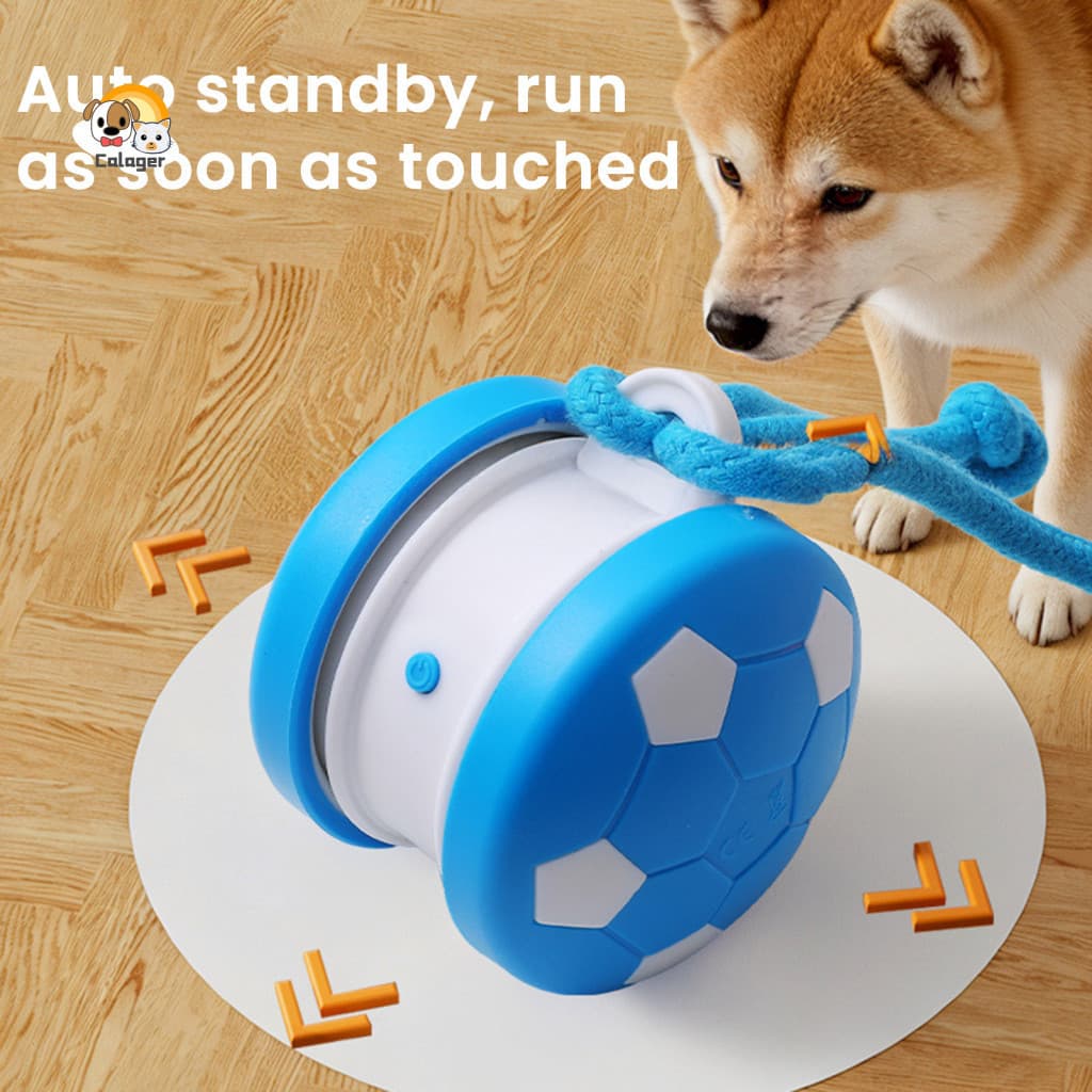 Bola Usb De Brinquedo Recarregável Para Gatos Com Corda Traseira-Animais De Estimação Interno Exercícios De Gatinhos Rol