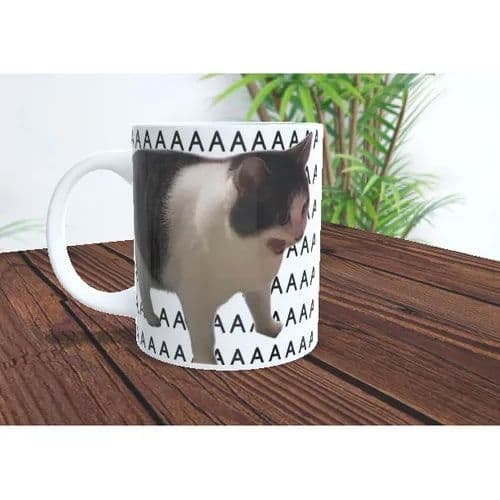 Caneca Cat  A A A A A Personalizada Porcelana Meme Gato Para