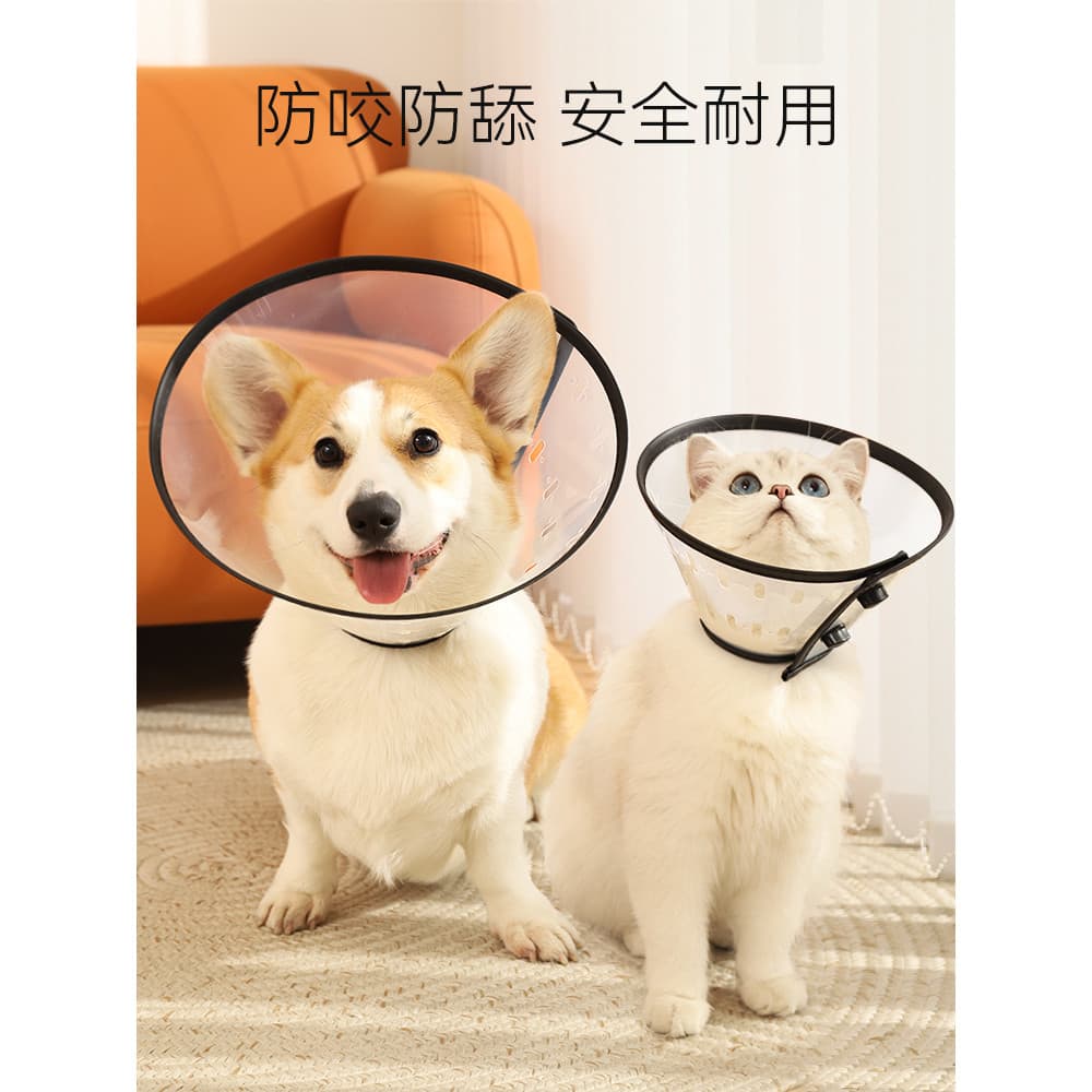 Coleira Elizabeth para cachorro, coleira para gato, Corgi, cachorro pequeno, anti-mordida, anti-lamber, ferramenta útil,
