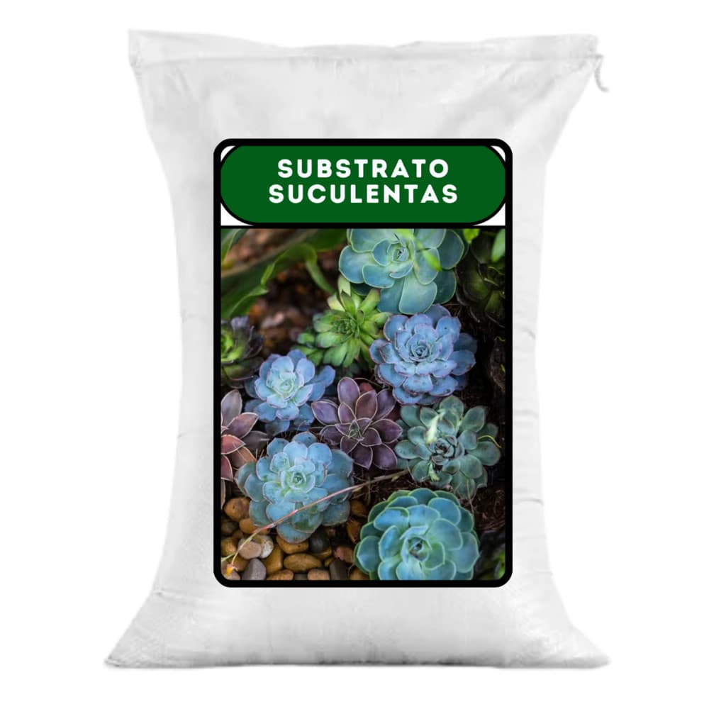 Substrato Para Suculentas | Cultivo Saudável E Solo Rico Em Matéria Orgânica
