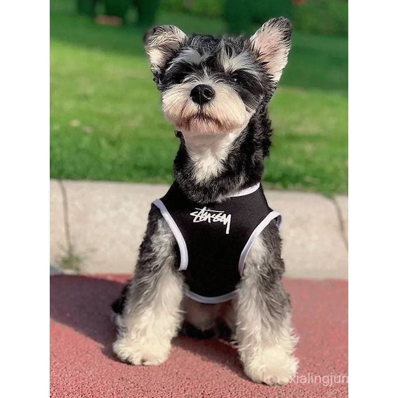 Roupas para cães de marca moderna, roupas de verão anti-queda para gatos, coletes finos para Teddy, Bulldog Francês, Sch