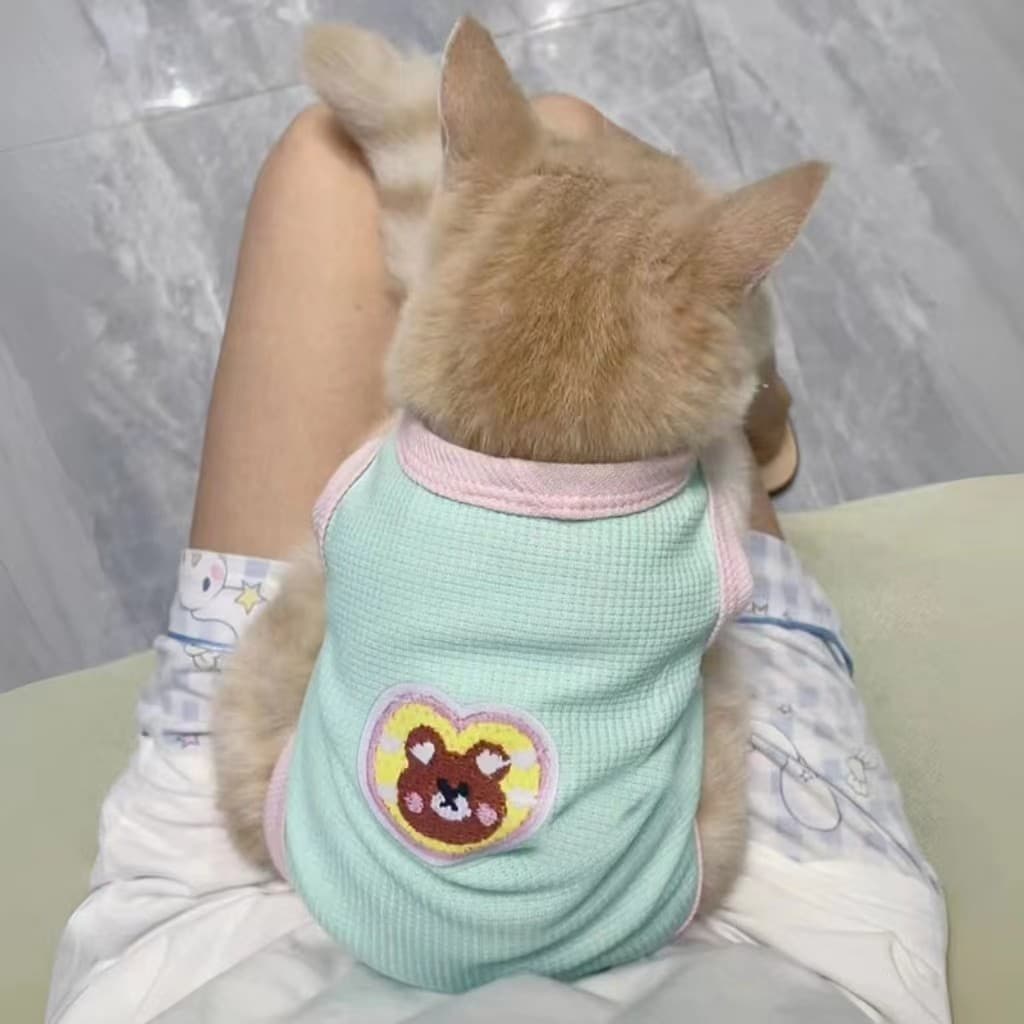 Roupas de gato Anti-fiapos primavera verão fino bonito ins ouro gradiente inglês curto Muppets gatos cães outono colete