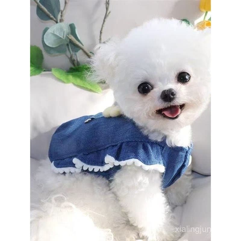 Roupas Florais 3D para Cães e Gatos, Adequadas para Bichon, Teddy, Pomeranian, Cães Pequenos, Yorkshire, Maltês QD49