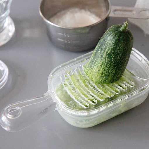 Japão importado doméstico alimentos complementares frutas moagem lama caixa moedor de gengibre plaina de alho picado com