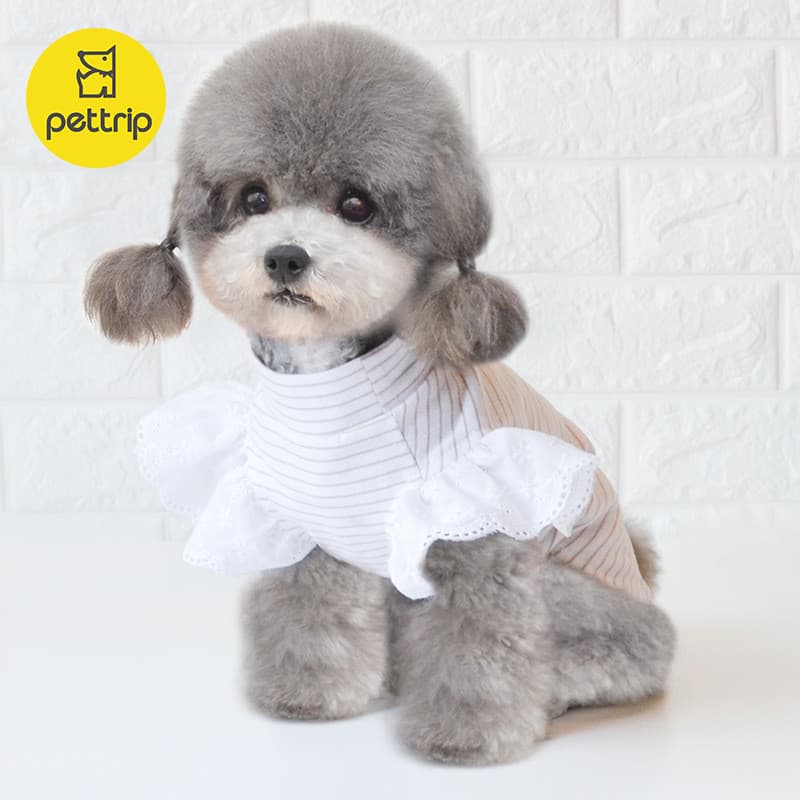 Roupas para cães novo estilo primavera verão roupas para cães Pet Teddy pequeno cão roupas Base de gato roupas para filh