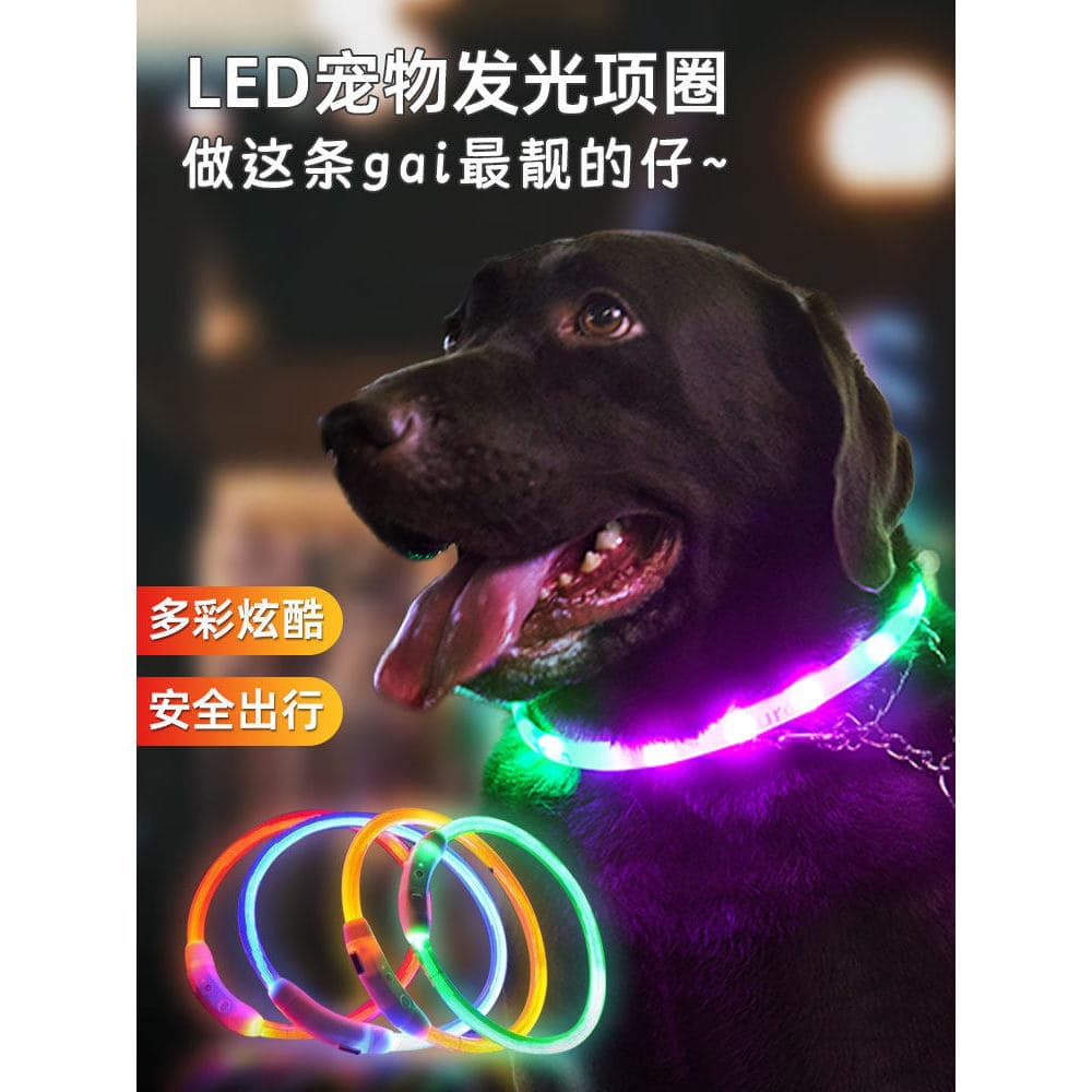 Coleira luminosa para cachorro, coleira luminosa para caminhada noturna, coleira luminosa fluorescente luminosa para ani