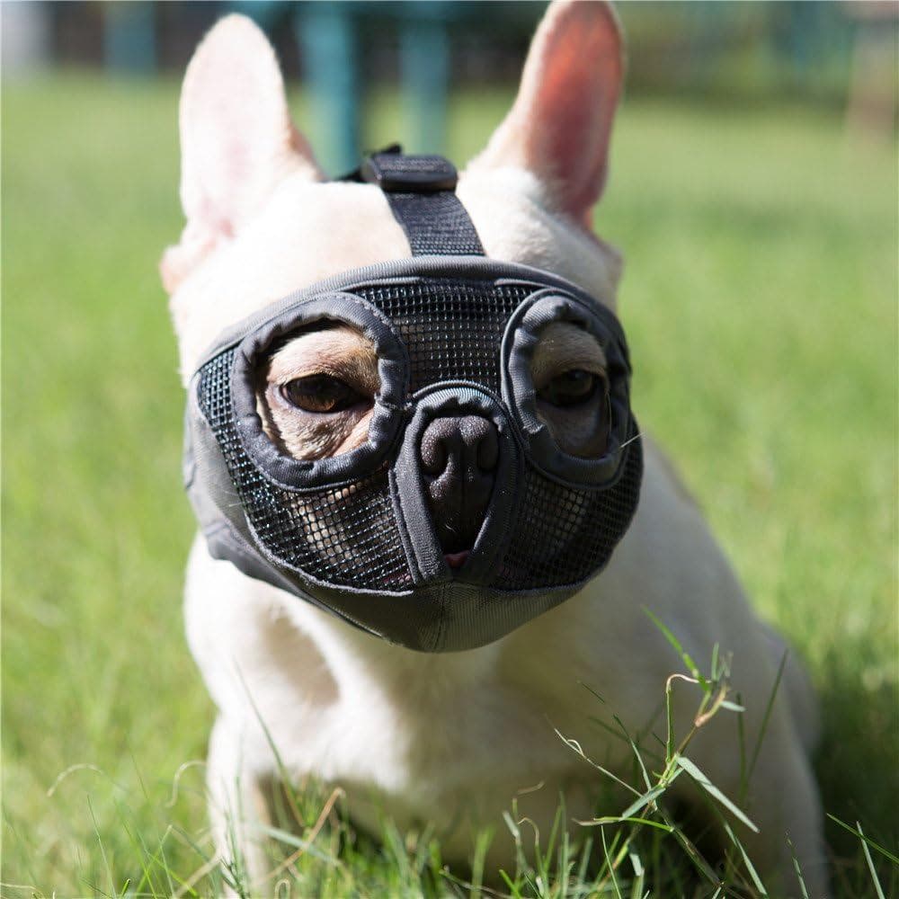 Focinheiras para Cães de Focinho Curto - Focinheira Ajustável de Malha Respirável para Bulldog, para Treinamento de Mord