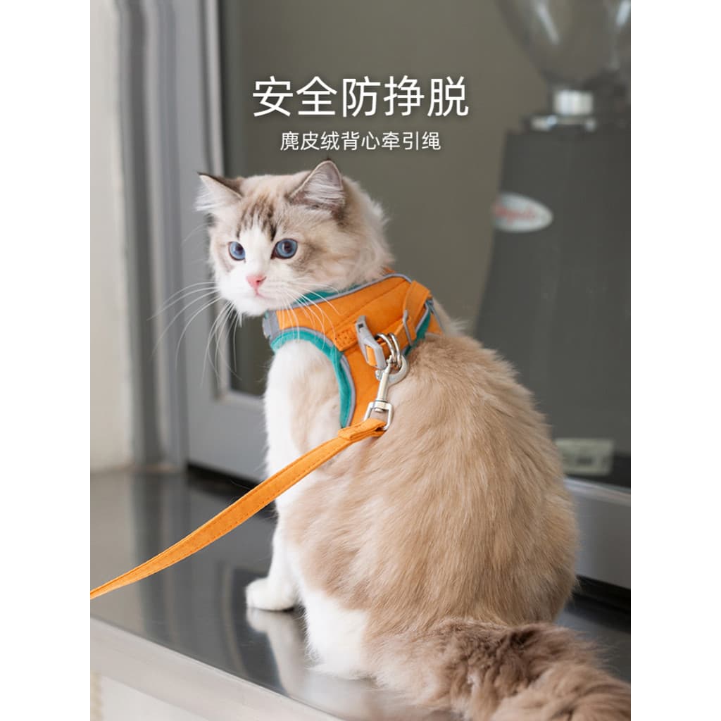 Coleira especial para gatos, coleira para gatos, prevenção de coleira para gatos, cães pequenos, cinta peitoral, corda,