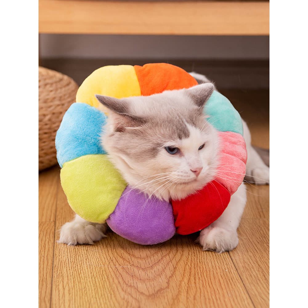 Babador de gato gatinho Elizabeth colar Muppet gato azul macio bonito colar Anti-lamber esterilização coleira de gato
