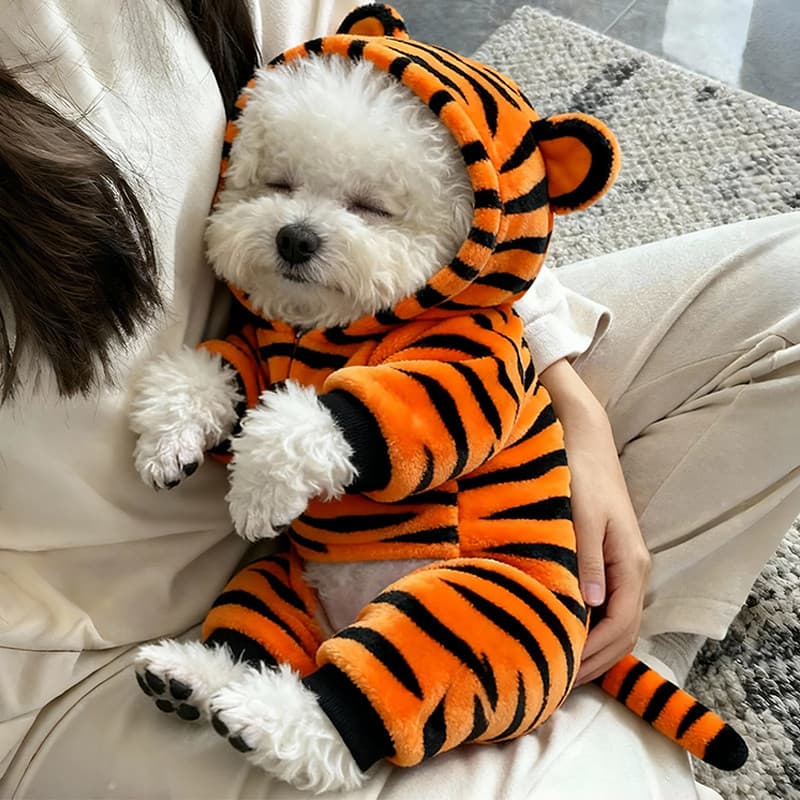 Roupas para cães dinossauro transformação roupas engrossadas outono inverno Teddy Bichon Schnauzer cães pequenos gatos r