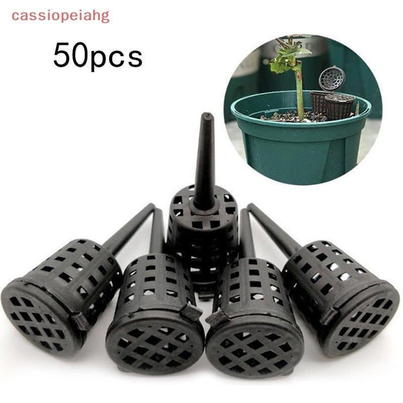 50pcs/pacote Cesta de Composto para Plantas Adequada para Orquídea em Vaso Osmocote
