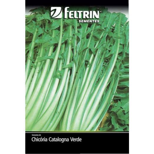 SEMENTES DE CHICORIA CATALOGNA VERDE (FOLHA LARGA)