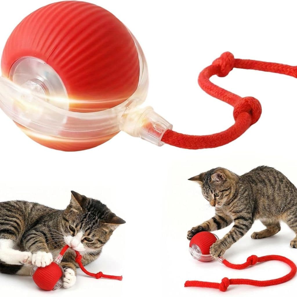 Bola Brinquedo Bolinha Para Gato Cachorro Auto Magico Elétrico Pets Usb Recarregável