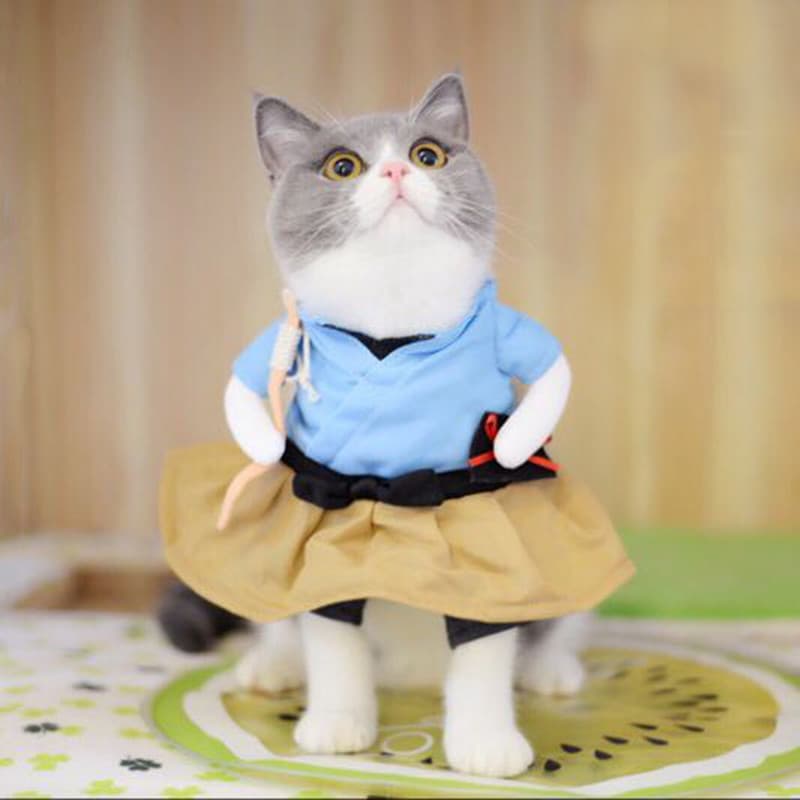 Douyin mesmo estilo roupas de gato Urashima Taro Mimi roupas engraçadas roupas engraçadas roupas de gato roupas verticai