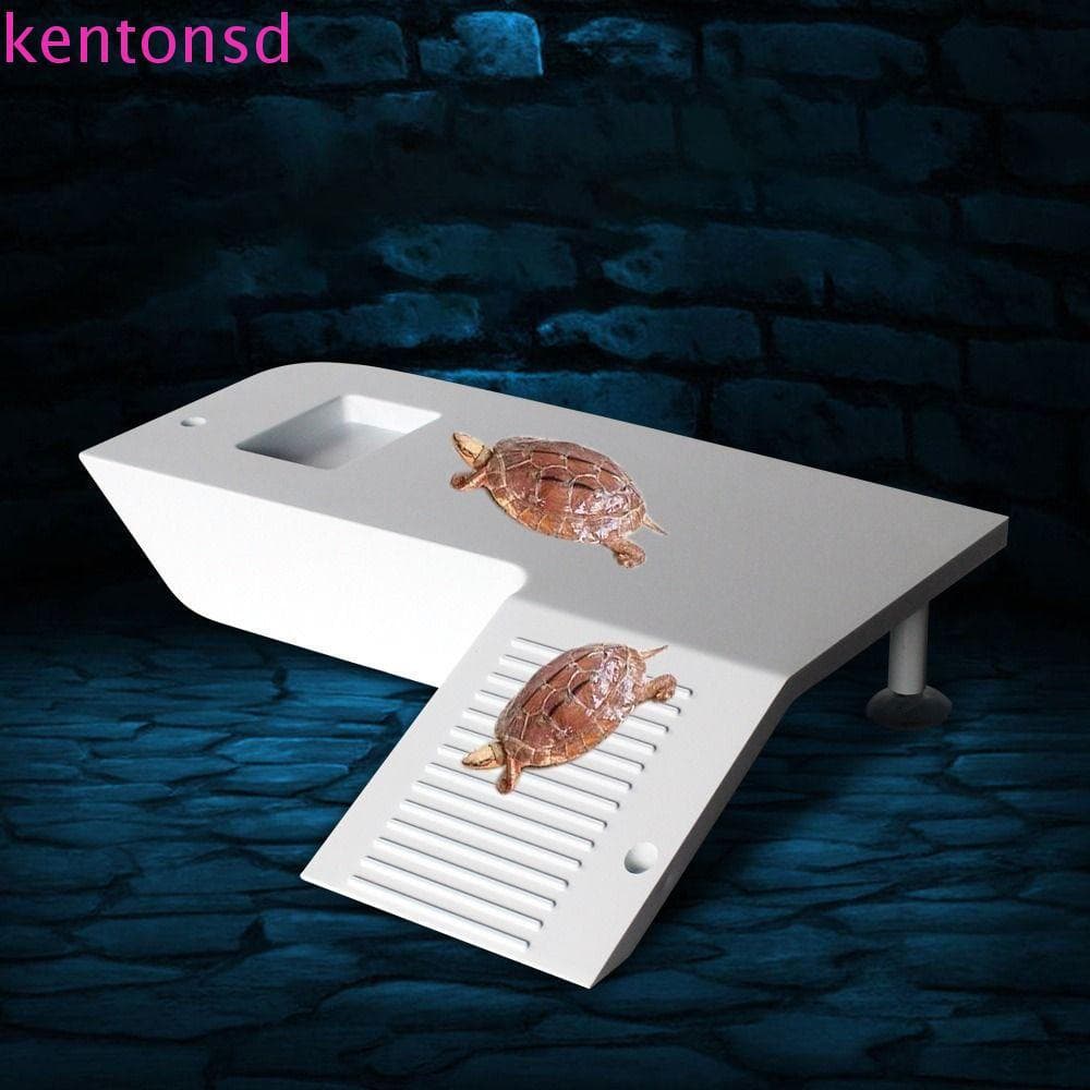KENTONSD Tartaruga Escada Plataforma De Escalada Para Lagarto Sapo Escorpião Tanque De Peixes Plástico Basking