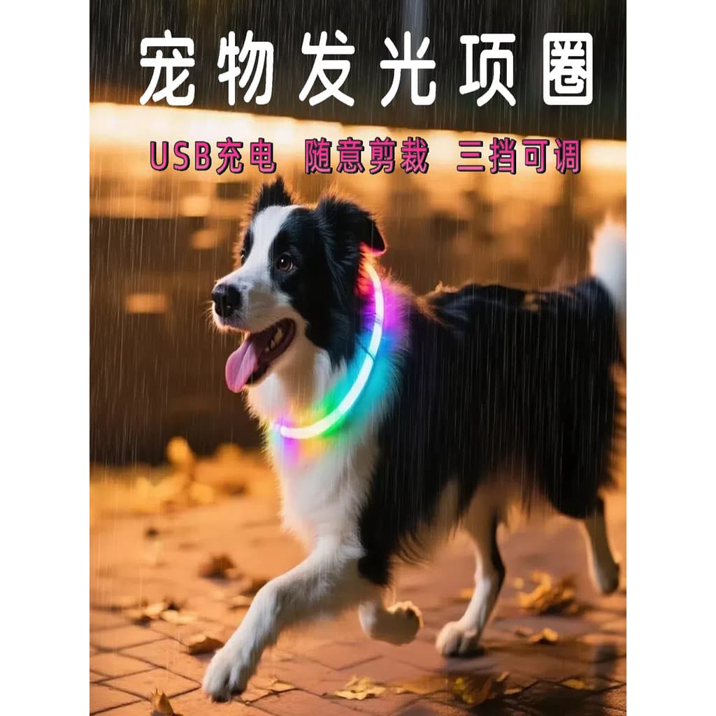 Coleira luminosa para cachorro, coleira luminosa Anti-perda para caminhada noturna, cachorro pequeno