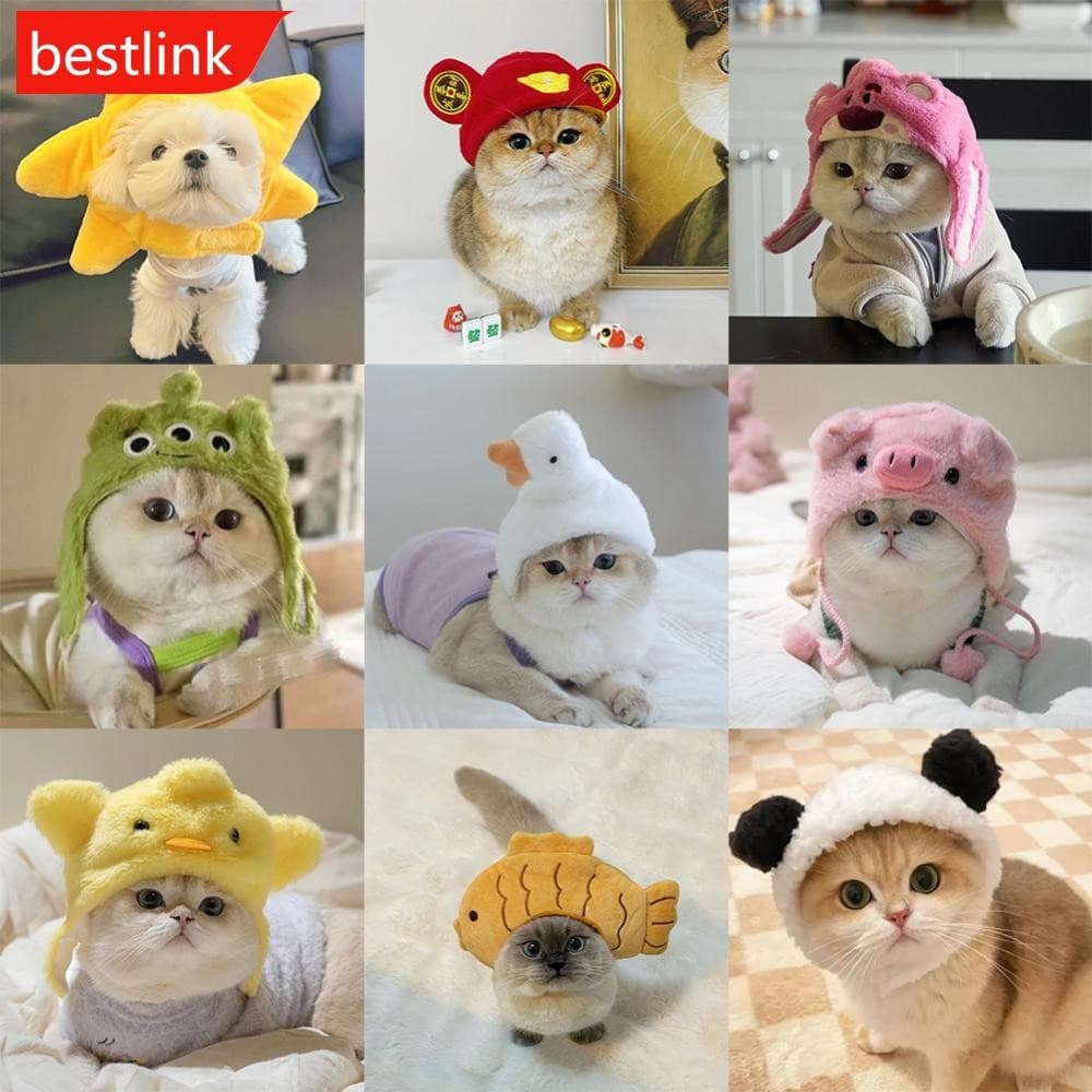 BESTLINK Chapéus De Gato De Estimação Estrela Do Mar Snapper Chapéu Em Forma De Frango Teddy Vestir-Se Traje Cocar Anima