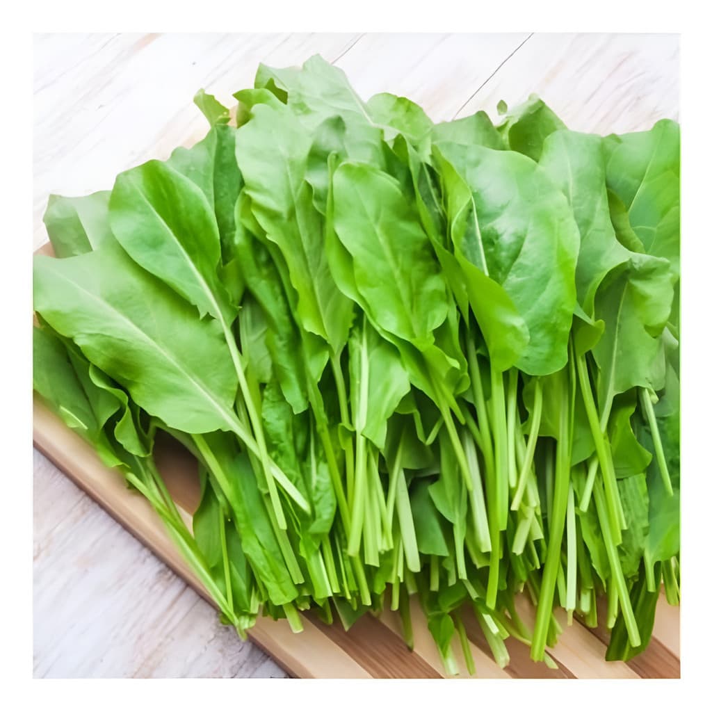 1000 Sementes de Azedinha (Rumex acetosa) Folha Larga | Hortaliça Orgânica p/ Horta | Envio Rápido