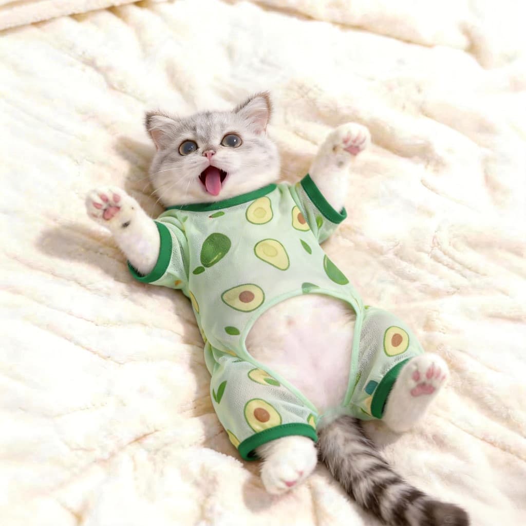 Roupas de gato verão fino quatro pernas protetor solar roupas respirável Anti-lint cão roupas legais Kitty roupas para c