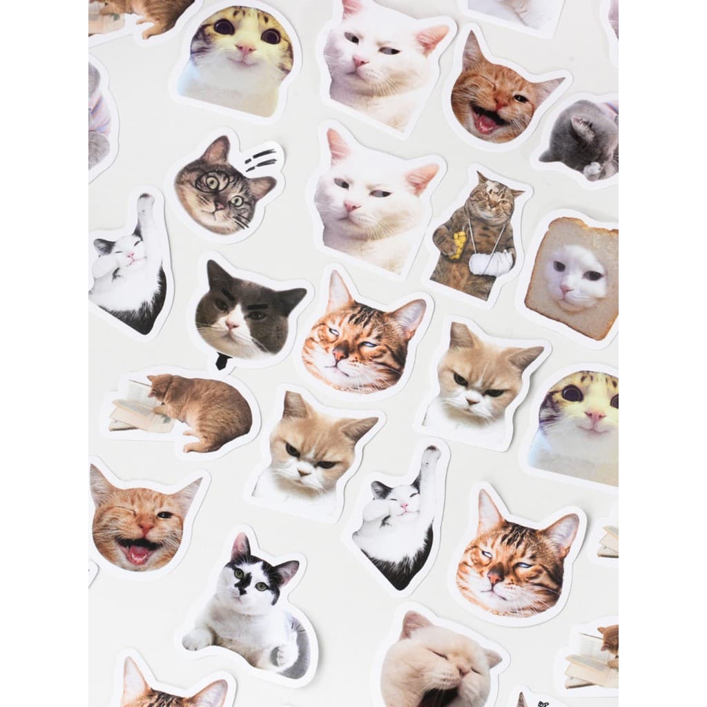 Meow meow aventura Kitty Manual adesivo dos desenhos animados bonito álbum decorativo diy adesivo Manual de crescimento