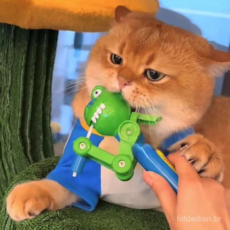 Brinquedo Engraçado de Gato Dinossauro de Boca Grande Robô Brinquedo de Gato