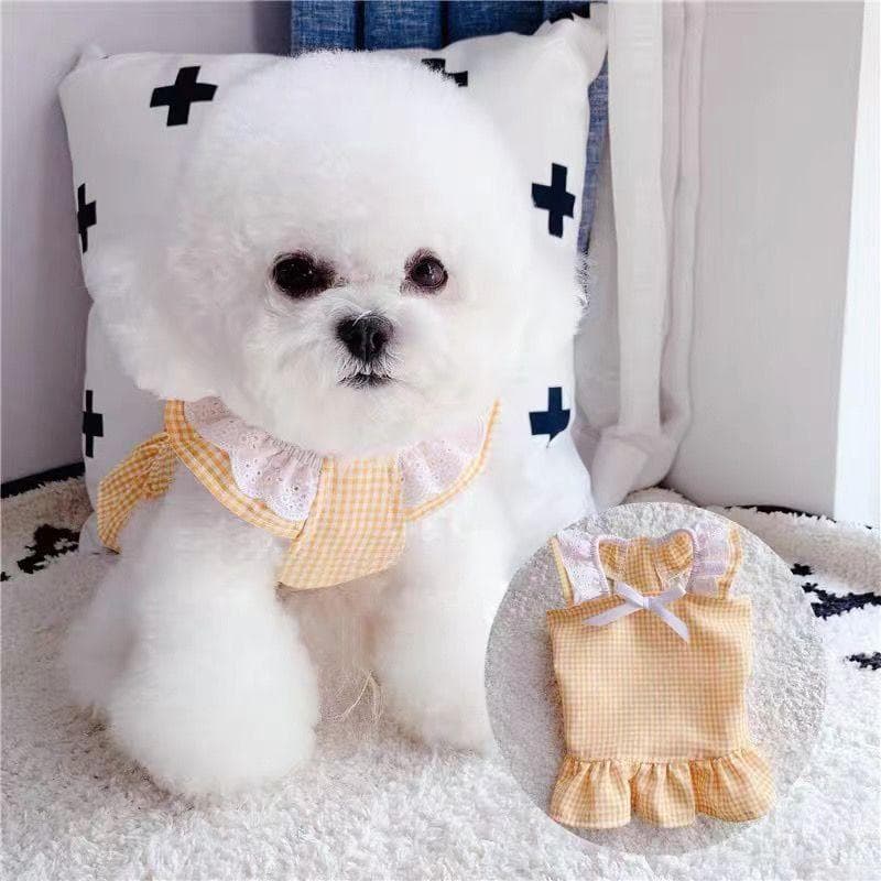 Vestido de roupas para animais de estimação com gola de renda e manga voadora para gato e cachorro
