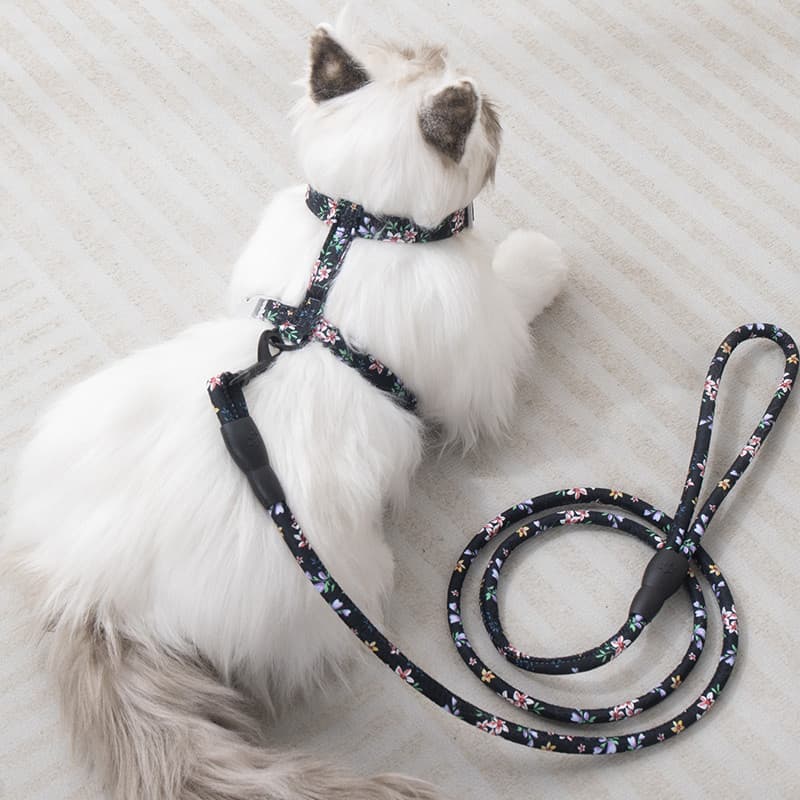 Gato andando corda gato trela Anti-quebra dedicado gatinho alemão sutiã cinta cão andando corrente gato andando ferramen