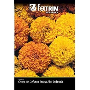 Sementes de Cravo de Defunto Erecta Alta Dobrada Sortida - Feltrin Sementes
