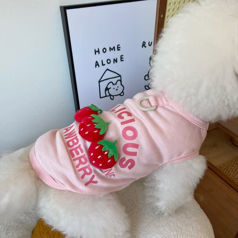 Colete De Frutas 3D Fino De Verão Para Animais De Estimação – Camisa Leve De Malha Respirável Nas Costas Cães E Gatos Pe