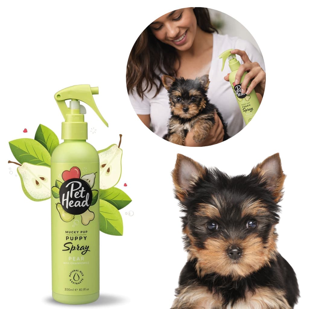 Spray de Banho a Seco Higiene Limpeza Para Cães Filhotes Pet Head Frasco 300ml Novo + NF