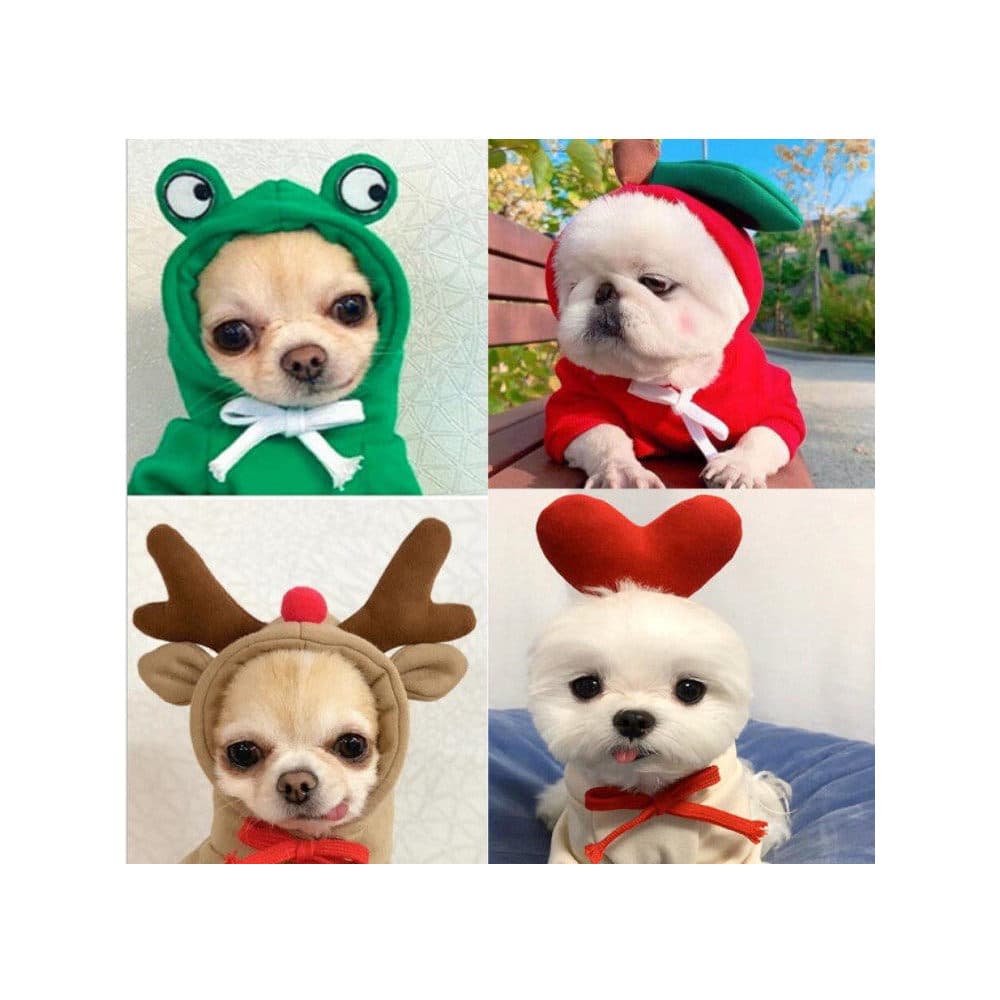 Roupas de transformação de frutas roupas de gato cão primavera outono Pet Teddy roupas de inverno pequeno cão moletom en
