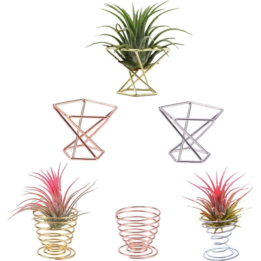 6 Peças Suporte Geométrico para Plantas Aéreas, Suporte de Metal para Plantas, Suporte para Tillandsia em Aço Inoxidável