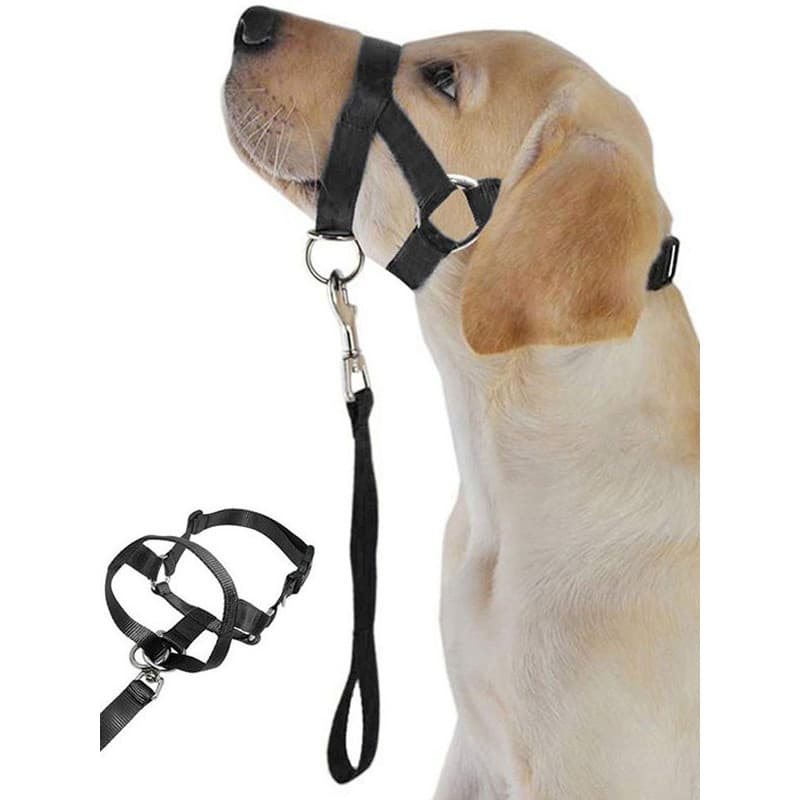 Novo estilo de cão de estimação boca corda boca capa cão boca nariz anel treinamento cão à prova de explosão puxar trela
