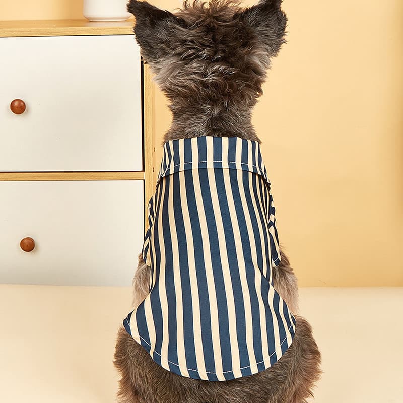 Camisa Listrada para Cães, Roupas de Estilo Britânico, Moda para Gatos Pequenos, Kawaii Yorkshire, Fantasia Fina e Respi