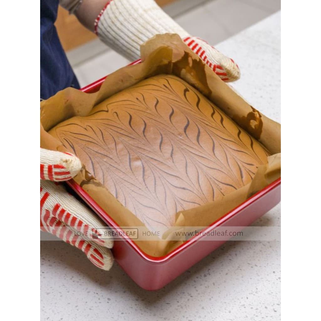 Molde de bolo antigo quadrado assadeira profunda 24cm x 24cm pano de óleo correspondente certificado LFGB com recuo