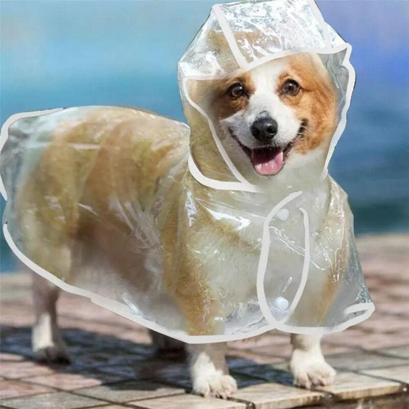 Capa de Chuva para Cães e Filhotes XS-8XL, Jaqueta Transparente Impermeável de PVC com Capuz para Animais de Estimação,