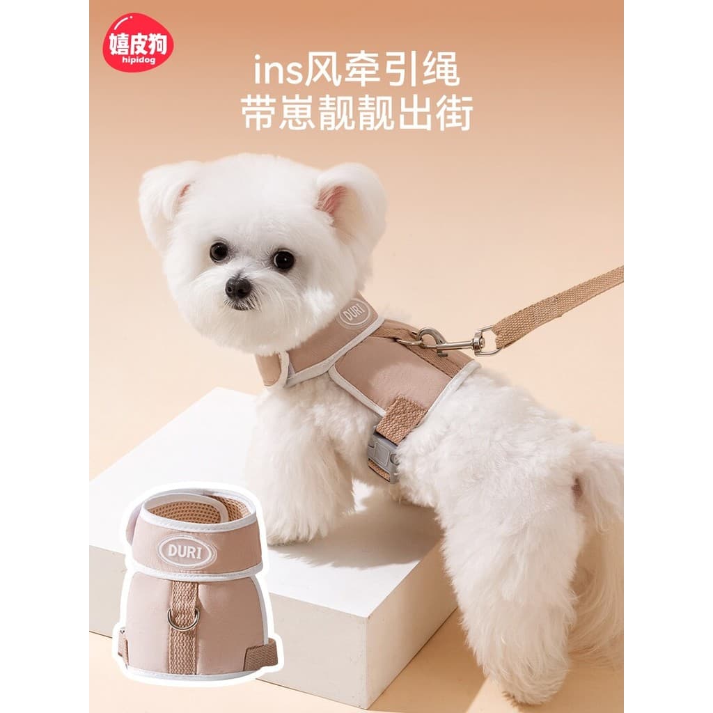 Coleira para cachorro pequeno, coleira de pelúcia Bichon Pomeranian, cinta peitoral para gatos, filhotes, cachorro, corr