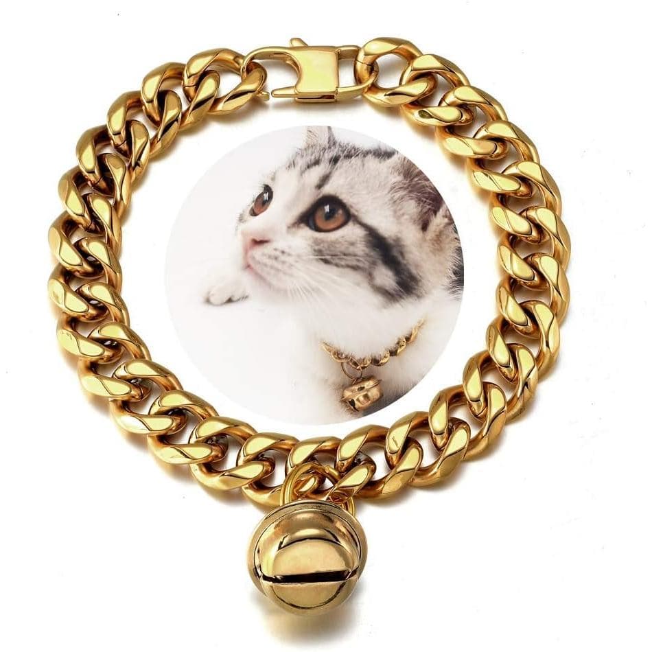 Coleira para Gato e Cachorro em Ouro 18K, Coleira Larga em Aço Inoxidável para Filhotes, Ajustável, Resistente a Mordida