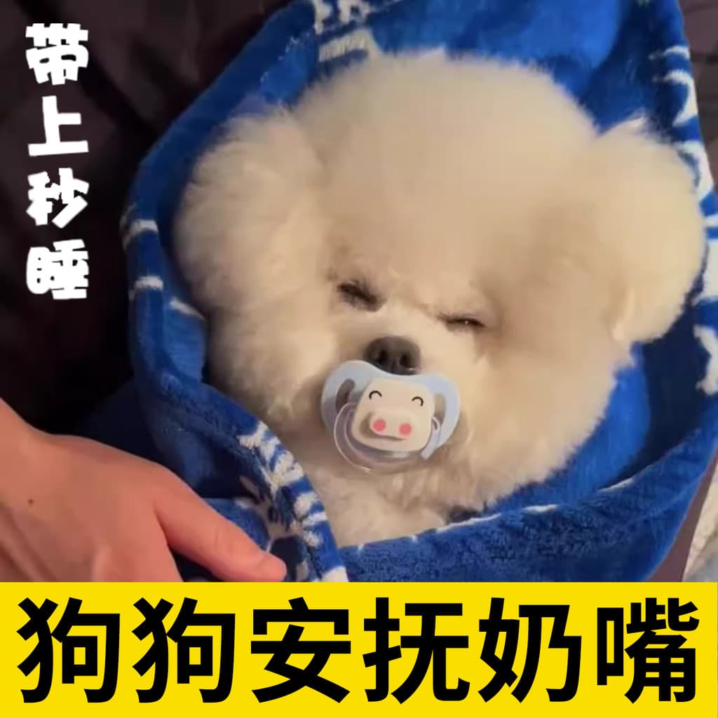 Cão dedicado chupeta brinquedo para animais de estimação filhote de cachorro molares aliviar o tédio filhotes Bichon chu