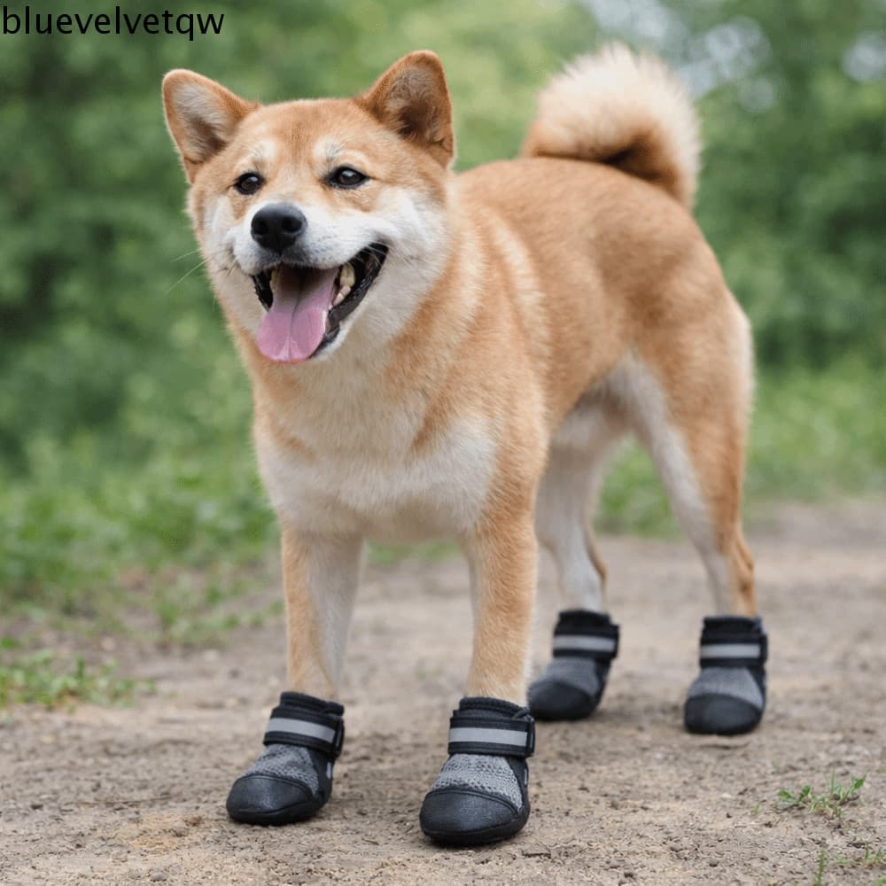BLUEVELVETQW 4 Unidades/Conjunto Sapatos De Malha Para Cães , Sola Macia , Tiras Reflexivas , Capa De Sapato Animais De