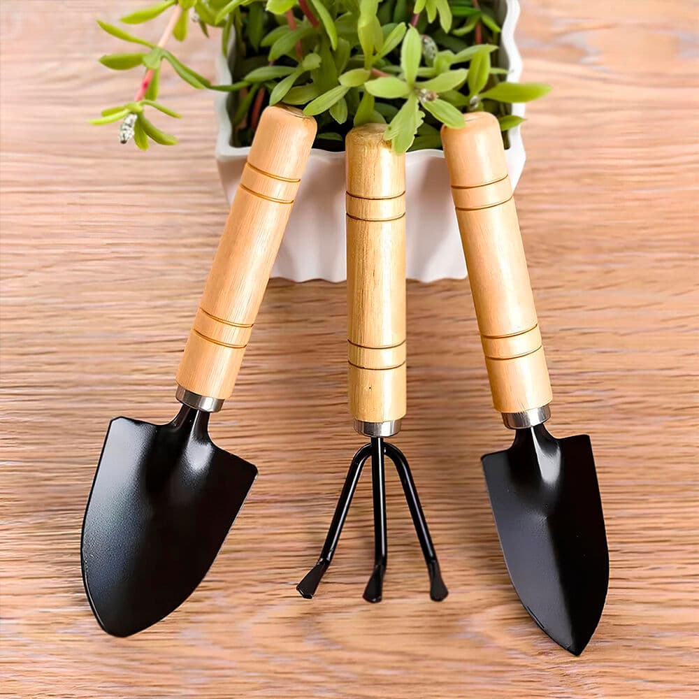 Kit Jardinagem 3 Peças Pazinha Ancinho Transplantador Ferramentas para Plantas Jardim
