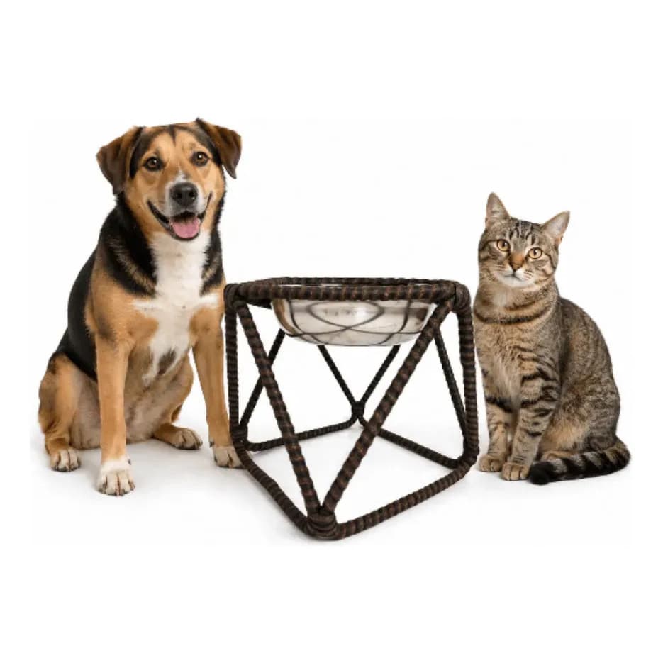 Bebedouro Pet Comedouro E Bebedouro Para Cão Ou Gato Tam G Tabaco