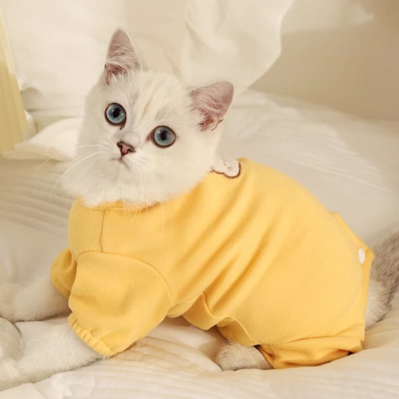 Roupas de gatinho inverno quente gato outono roupas outono inverno prata gradiente Anti-fiapos Pet gato gatinho roupas d