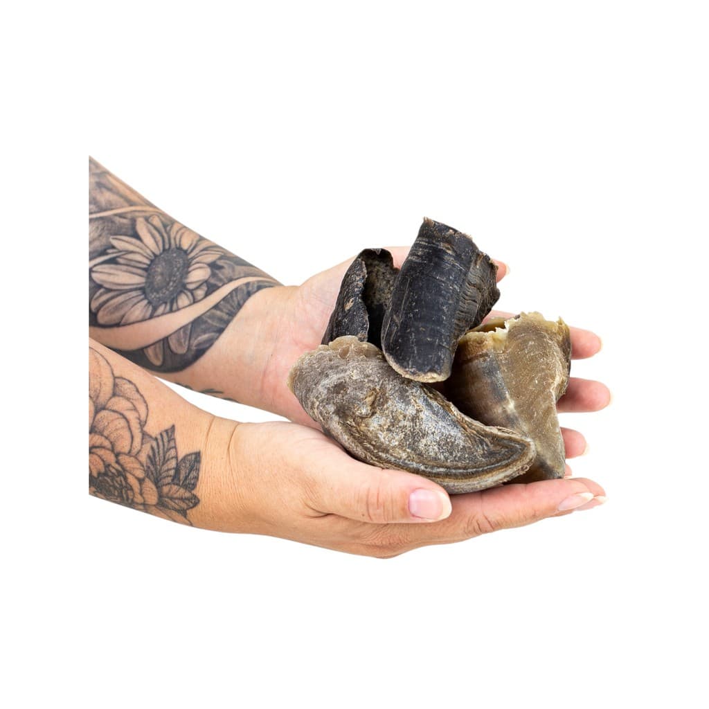 Mordedor Natural Artesanal Casco Bovino Roots Opaparico - Kit de 10