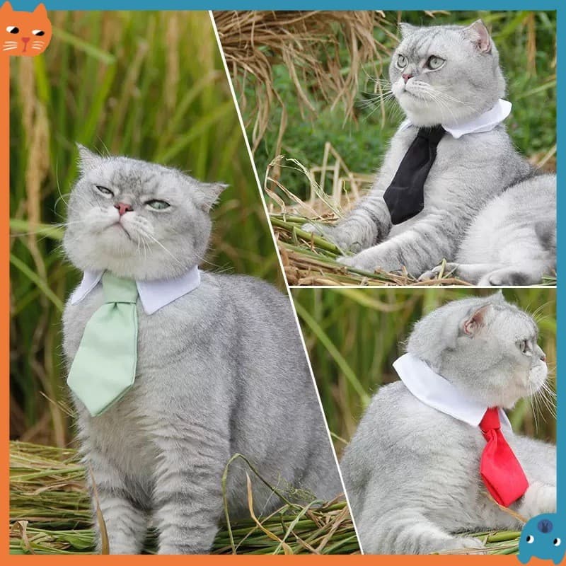 Gravata De Algodão Para Cães De Estimação Lindo Cavalheiro Listrado Preto Moda Pet Quatro Estações Vermelha Produtos Ani