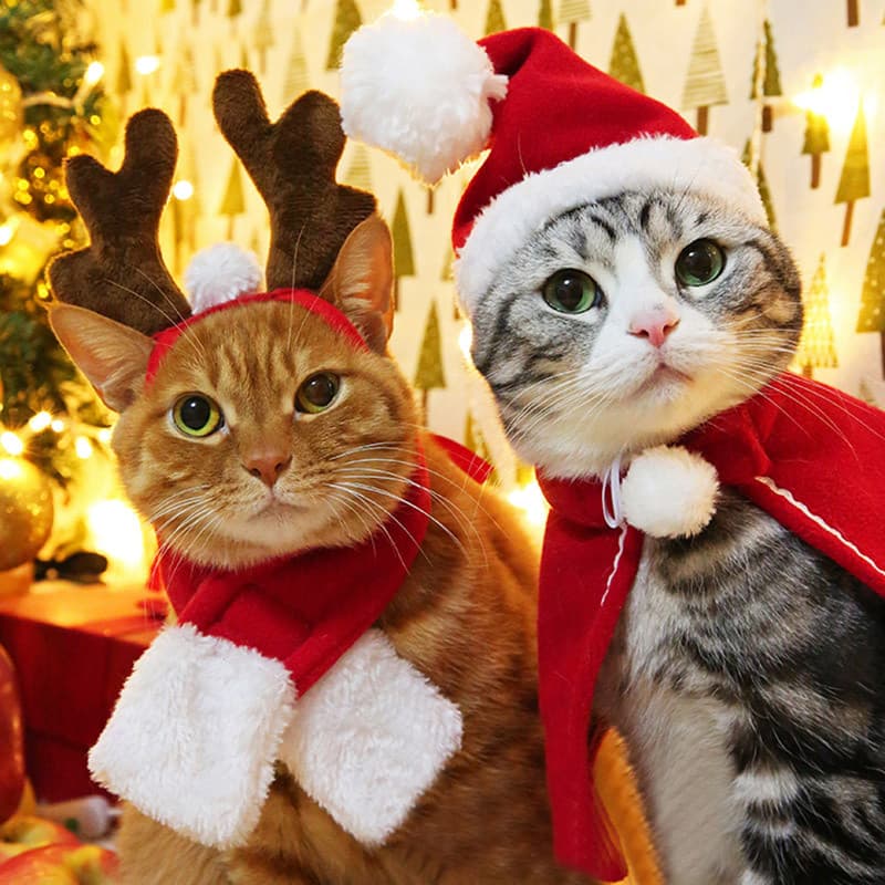 Roupas para cães roupas de ano novo roupas de ano novo chinês Teddy Corgi animais de estimação gatos vermelho roupas fes