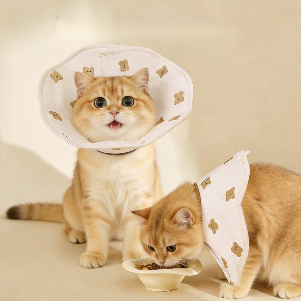 Coleira ajustável para animais de estimação, coleira impermeável, coleira elisabetana fofa para gatos, coleira especial