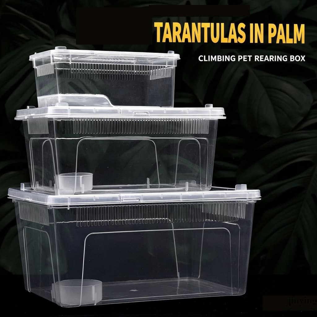 Caixa De Criação De Répteis De Plástico-Tanque De Tartaruga Para Lagartos , Cobras , Aranhas , Caracóis