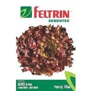 Sementes de Alface Mimosa Roxa ( Betânia) - Feltrin