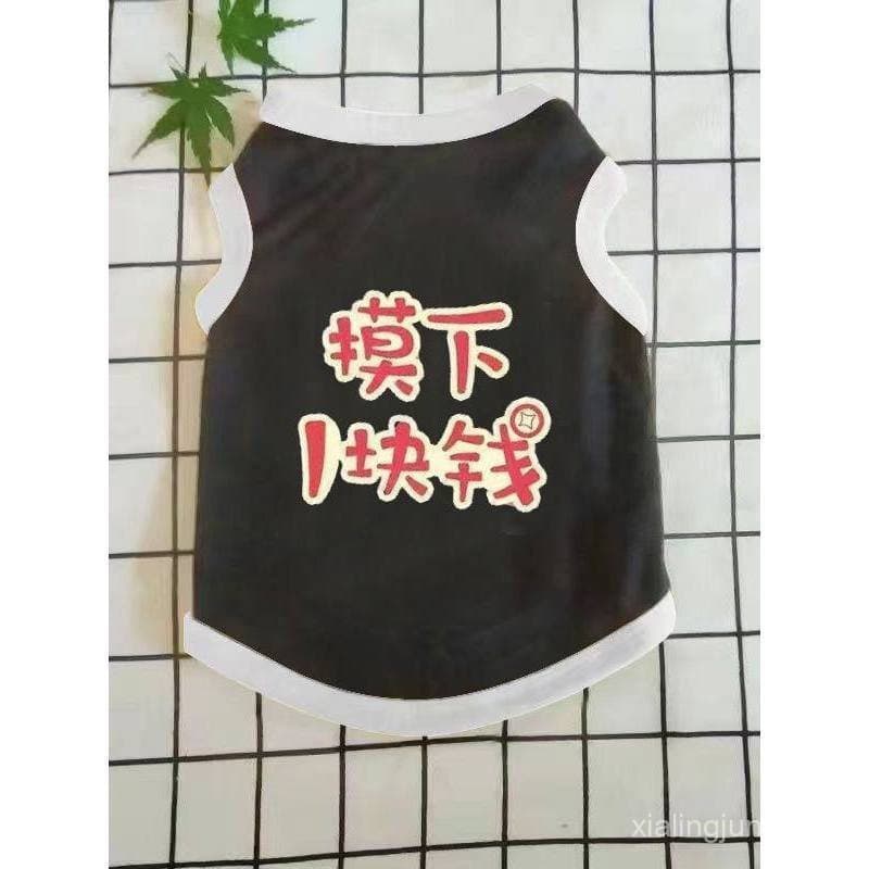 Roupa para Gato Anti-Queda, Vestuário de Verão para Gatinho, Colete Fino para Gato Leitoso com Texto Engraçado e Fofo SL
